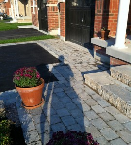 027-interlocking-borders